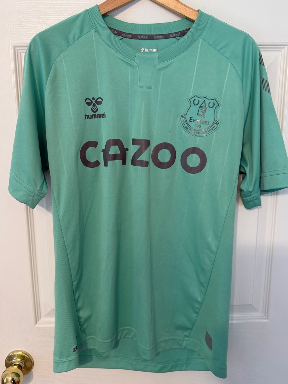 Men’s Everton Mint Green Football Jersey